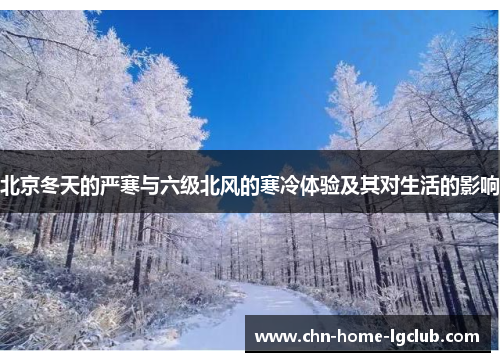 北京冬天的严寒与六级北风的寒冷体验及其对生活的影响