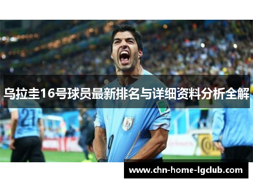 乌拉圭16号球员最新排名与详细资料分析全解 乌拉圭16号球员最新排名与详细资料分析全解