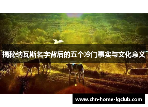 揭秘纳瓦斯名字背后的五个冷门事实与文化意义 揭秘纳瓦斯名字背后的五个冷门事实与文化意义