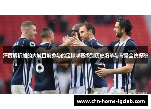 深度解析加的夫城目前参与的足球联赛级别历史沿革与背景全貌探秘 深度解析加的夫城目前参与的足球联赛级别历史沿革与背景全貌探秘